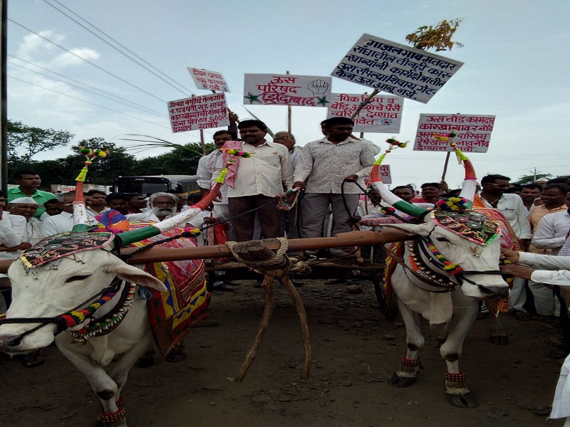 Farmers of Majalgaon took out the bullock cart morcha on Tehsil | माजलगावात शेतकऱ्यांनी काढला तहसीलवर बैलगाडी मोर्चा  