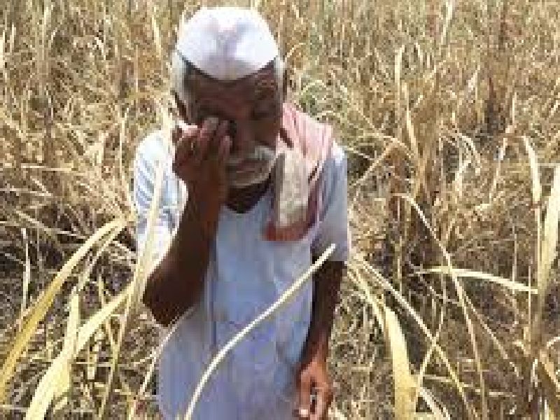 500 rupees per month is a cruel gesture of farmers: Dr. Ajit Navale | दर महिना 500 रुपये मदत म्हणजे शेतकऱ्यांची क्रूर चेष्टा; डॉ. अजित नवले यांचा आरोप