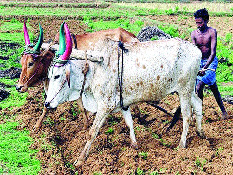 Farmers are busy preparing for kharif season in Raigad district | रायगड जिल्ह्यात खरीप हंगामाच्या तयारीत शेतकरी व्यस्त