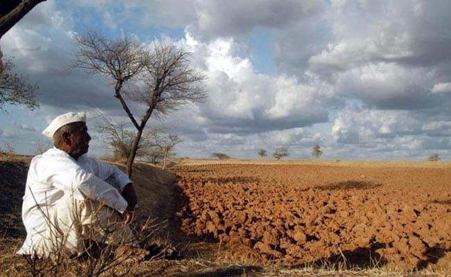 Disappointment of rains raises concerns: Farmers worried | पावसाच्या निरुत्साहाने चिंता वाढवली : शेतकरी चिंतेत