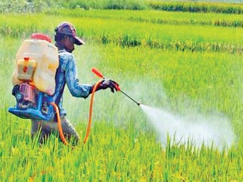 37 farmers in Aurangabad district affected by crop spray; In order to save crops, the risk of farmers alive | पिकांवर फवारणी करताना औरंगाबाद जिल्ह्यात ३७ शेतकऱ्यांना बाधा; पिके वाचविण्यासाठी बळीराजाचा जीव धोक्यात