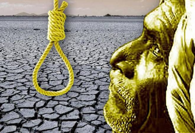 47 farmers commit suicide during the year in Nagpur district | नागपूर जिल्ह्यात वर्षभरात ४७ शेतकऱ्यांची आत्महत्या