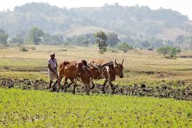 Farmer's tools of DBT scheme is a killer for farmers | शेतीपूरक अवजारांची डीबीटी योजना शेतकऱ्यांसाठी मारक