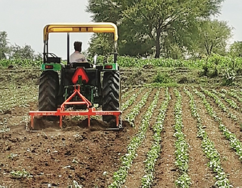 soyabean crop removes within 15 days after sowing due to dealy in rain | मराठवाड्यात पावसाचा दगा; पेरणीनंतर सोयाबीनवर पंधरा दिवसांतच नांगर फिरविण्याची वेळ