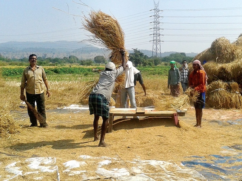 Loan waiver to 3 thousand farmers | २८ हजार शेतकऱ्यांना कर्जमाफी; दोन्ही जिल्ह्यातील शेतकऱ्यांचा समावेश