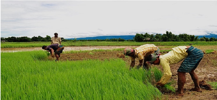 Guidance for farmers under Kisan Kalyan campaign program | किसान कल्‍यान अभियान कार्यक्रमांतर्गत शेतकऱ्यांना मार्गदर्शन