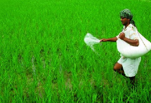 Loan waiver to 7,000 farmers in Satara district | सातारा जिल्ह्यातील ६५ हजार शेतकऱ्यांना कर्जमाफी-- सरकारकडून घोषणा