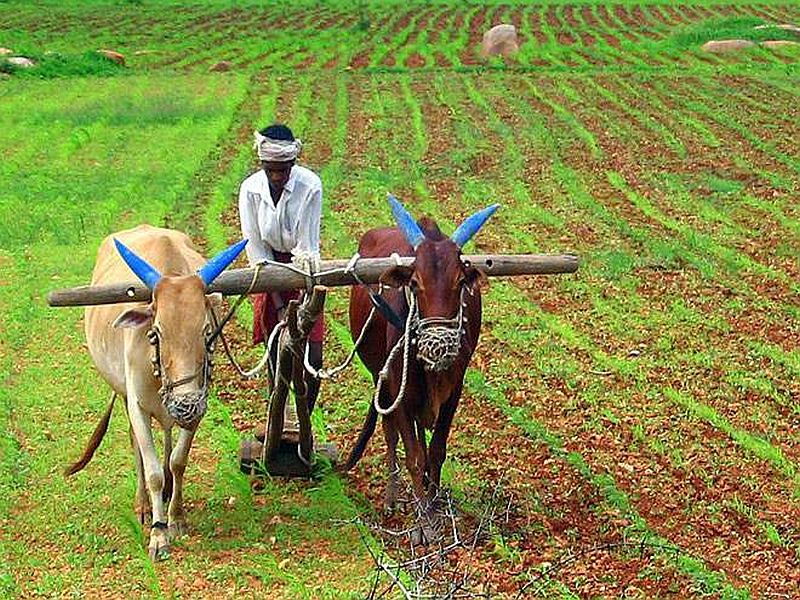 Loan waiver benefits 34 lakh farmers; Will disclose the names of the beneficiaries | कर्जमाफीचा ३४ लाख शेतकऱ्यांना फायदा; लाभार्थींची नावे जाहीर करणार