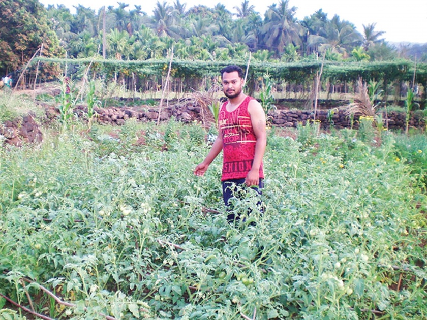  The young man created the farm from self-employment | तरुणाने शेतीतून निर्माण केला स्वयंरोजगार