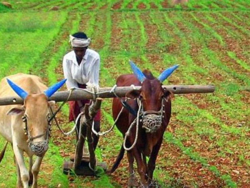 Accelerate agricultural activities in Poladpur | पोलादपूरमध्ये शेतीच्या कामांना वेग
