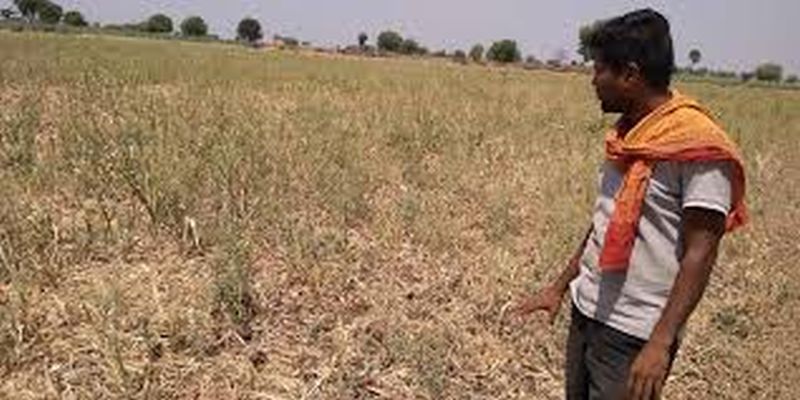 Waiting for help of 41 thousand farmers in Balapur taluka | बाळापूर तालुक्यातील ४१ हजार ५३३ शेतकऱ्यांना मदतीची प्रतीक्षा