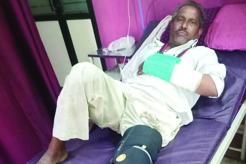 Farmer injured in wild pig attack | रानडुकराच्या हल्यात शेतकरी जखमी