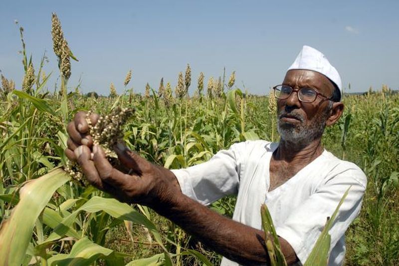 Farmers not get help in the chaos of government formation | सरकार बनविण्याच्या लगबगीत शेतकऱ्यांच्या मदतीचा पेच!