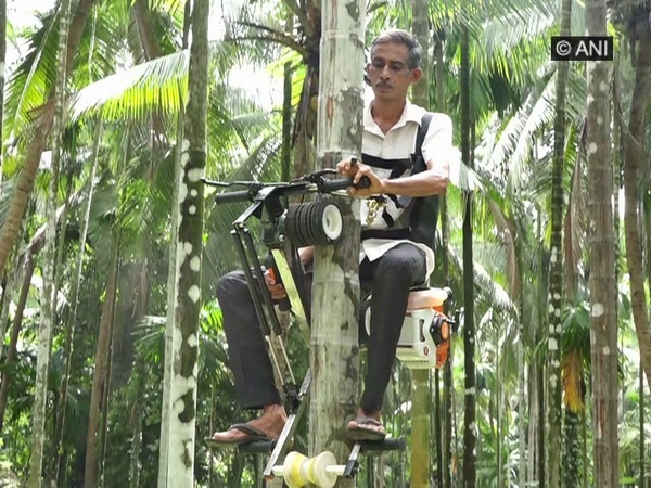 Ingenious Bike For Climbing Areca Nut Or Coconut Tree | Video: रस्त्यावर नाही तर झाडावर चढणारी अनोखी बाईक; काही सेकंदात गाठणार झाडाचं टोक 
