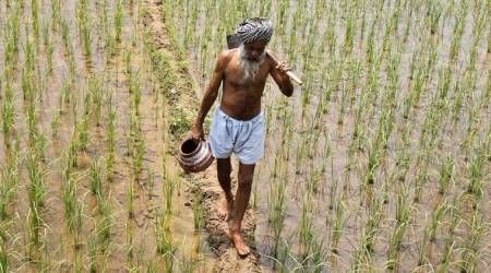 'Agriculture is unaffordable, allow to sell liquor' Strange demand of farmers in Bhandara district | 'शेती परवडत नाही, दारु विकू द्या' भंडारा जिल्ह्यातील शेतकऱ्याची अजब मागणी