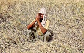 farmers waiting for the help of four months in yavatmal | शेतकऱ्यांना चार महिन्यांपासून अतिवृष्टीच्या मदतीची प्रतीक्षा