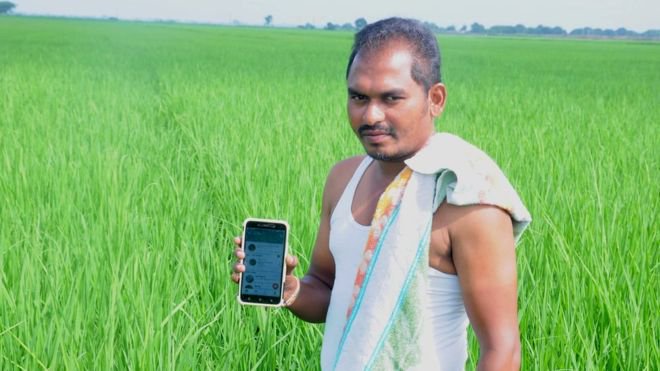 Develop a mobile app for farmers: Dr. Abhijit Chaudhary | शेतकऱ्यांसाठी मोबाईल ॲप विकसित करावे : डॉ. अभिजीत चौधरी