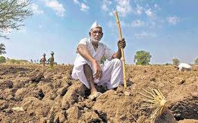 1.60 lakh farmer's information collected from village level! | ग्रामस्तरावरून १.६० लाख शेतकरी कुटूंबांची माहिती संकलित!