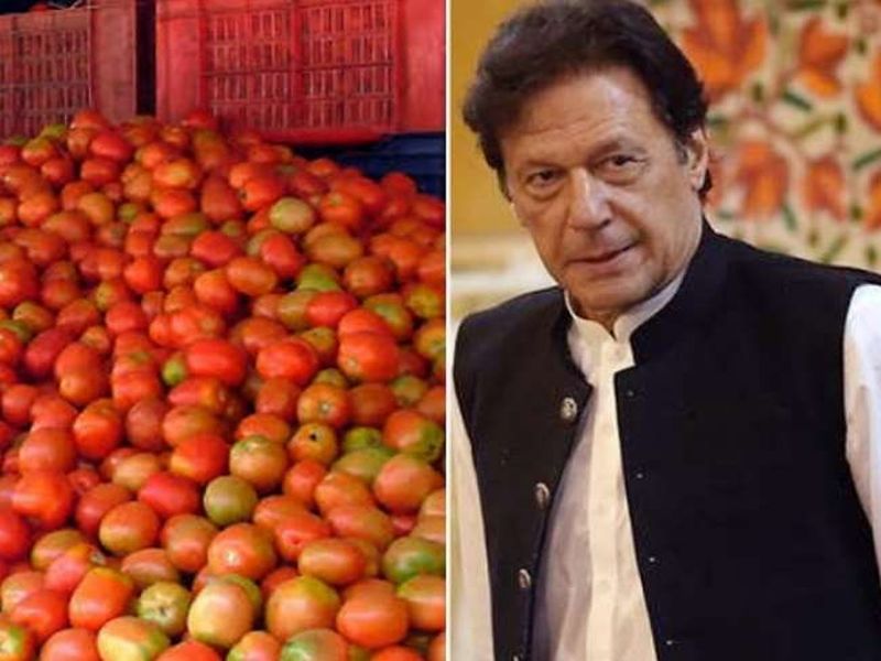 Farmers of Madhya Pradesh sent a message to the Prime Minister of Pakistan, 'If you want tomatoes..." | 'टोमॅटो हवे असल्यास...', भारतीय शेतकऱ्यांनी पाकच्या पंतप्रधान इम्रान खान यांना पाठविला संदेश