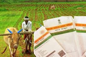 Bank account and Aadhaar number of farmers washim |  वाशिम जिल्ह्यातील नुकसानग्रस्त शेतकऱ्यांचे बँक खाते व आधार क्रमांक मागविले !