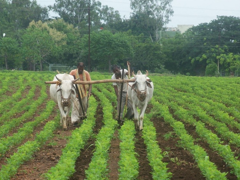 Maharashtra Budget 2018 Farmer loan waiver government spends 13 lakh cores | Maharashtra Budget 2018: राज्यातील 35 लाख शेतकऱ्यांना 13 हजार कोटींची कर्जमाफी- अर्थमंत्री