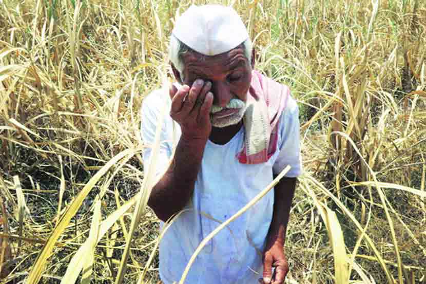 Drought-hit farmers need help | दुष्काळी भागातील शेतकऱ्यांना मदतीची आस