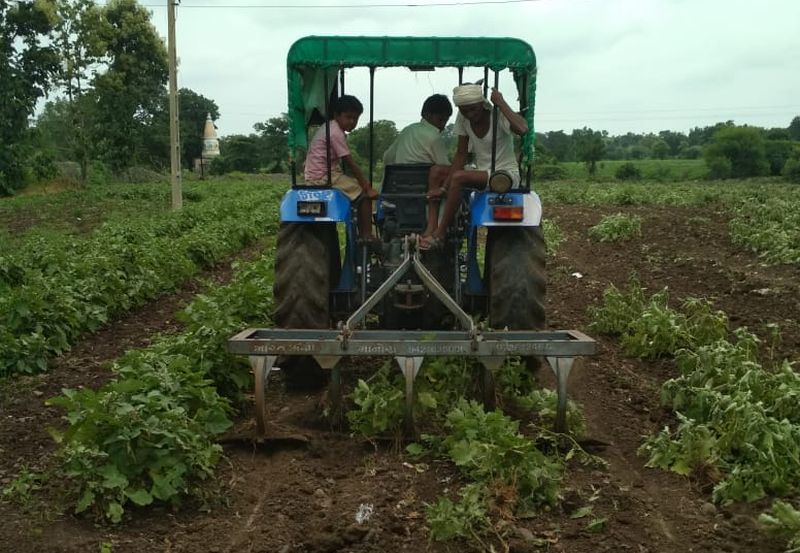 Farmer rolled a tractor on two acres of brinjol crop | शेतकऱ्याने दोन एकरातील वांग्याच्या पिकावर फिरविला ट्रॅक्टर