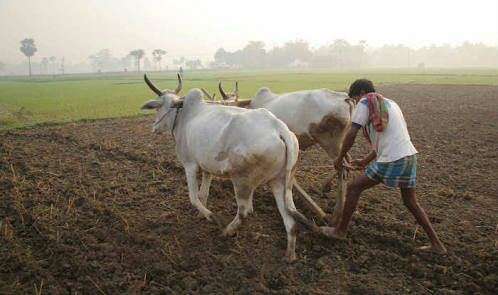 Tired farmers will get debt relief | थकीत शेतकऱ्यांनाही मिळणार कर्जमाफी