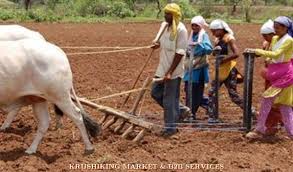 Long time for farmers to sow the area in the east of Nashik | नाशिकच्या पूर्व भागात शेतकऱ्यांची पेरणीसाठी लगबग