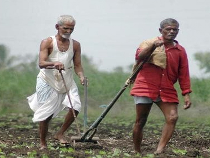Direct amount in the account of two lakh farmers | दोन लाख शेतकऱ्यांच्या खात्यात थेट रक्कम; महाडीबीटी योजनेंतर्गत अनुदान जमा करण्यास सुरुवात