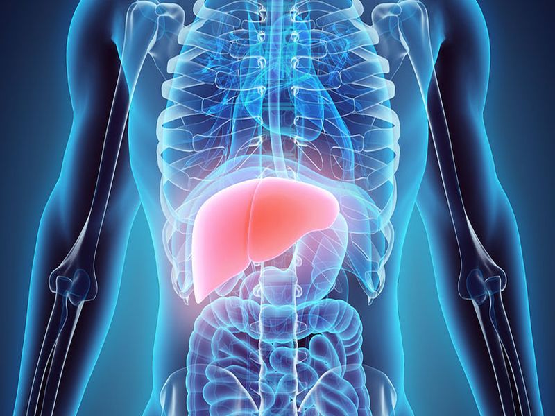 5 ayurveda tips for fatty liver | फॅटी लिव्हरच्या समस्येमुळे त्रस्त आहात? औषधांसोबतच 'हे' उपचार ठरतात फायदेशीर!