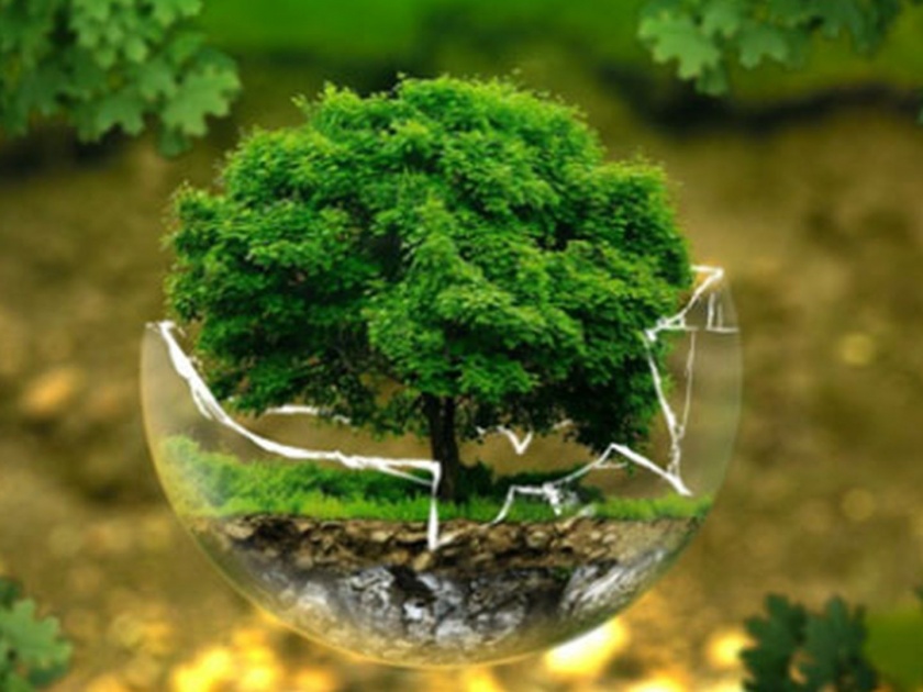 Environment and the future | World Environment Day: पर्यावरण आणि भविष्य