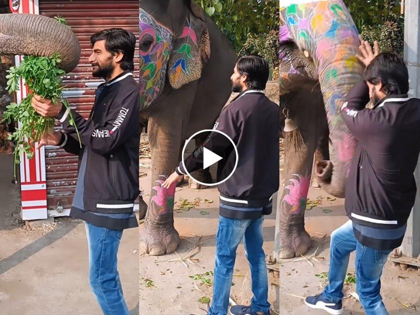 VIDEO : Elephant suddenly attacked man threw it up in the air after he gets too close | हत्तीच्या खूप जवळ जाण्याचा केला प्रयत्न, पुढे जे झालं ते बघून बसेल धक्का...