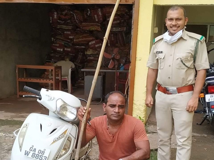 Arrested for posting video on social media killing Dhaman snakes | धामण सापांची हत्या करून समाजमाध्यमावर व्हिडिओ टाकणारा अटकेत
