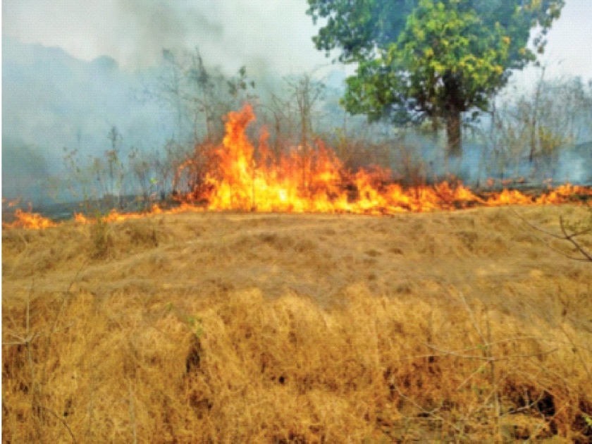 Huge loss of forest resources due to deforestation in Devkanhe; Blowing up houses near the village | देवकान्हेतील वणव्याने वनसंपदेची प्रचंड हानी; उडदवणे गावालगतच्या घरांना झळ 