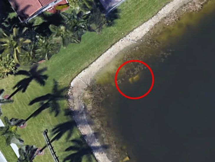 A person who had been missing for 22 years; The neighbor searched with the help of Google Earth | 22 वर्षांपासून बेपत्ता होता व्यक्ती; शेजाऱ्याने गुगल अर्थच्या मदतीने शोधले