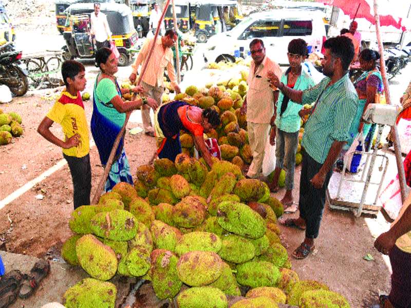 Filed in Funas Market Committee in Karnataka | कर्नाटकमधील फणस बाजार समितीमध्ये दाखल