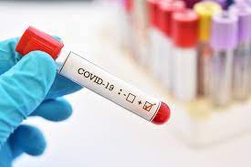 Another 269 coronavirus patients were found in Washim district | वाशिम जिल्ह्यात आणखी २६९ कोरोनाबाधित रुग्ण आढळले