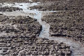 fertile soil ran away with water | खारपाणपट्ट्यात सुपीक माती वाहून जाण्याचे प्रमाण हेक्टरी २६ टनावर !