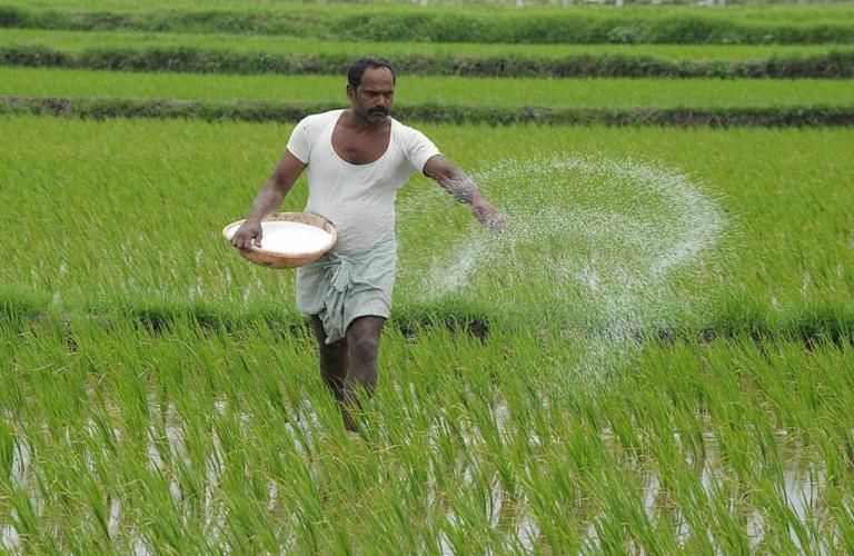 Farmer dies after spraying pesticides in Gondia district | गोंदिया जिल्ह्यात औषध फवारणी केल्याने शेतकऱ्याचा मृत्यू