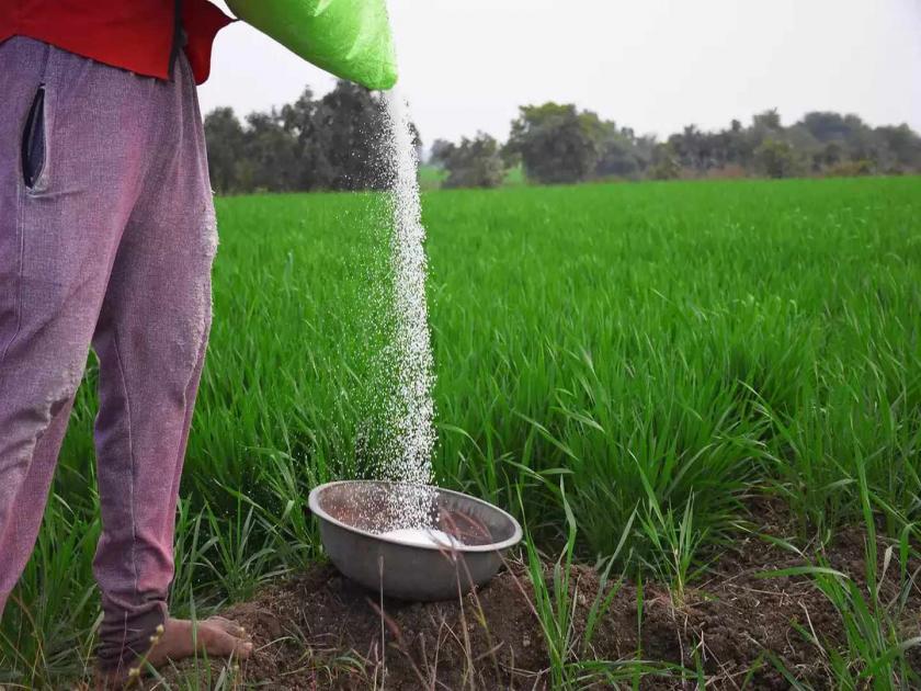 Benifit to Farmers: Cabinet approves Nutrient Based Subsidy (NBS) rates for RABI Season, on Phosphatic and Potassic (P&K) fertilizers | केंद्र सरकारकडून शेतकऱ्यांना दिवाळी 'गिफ्ट'; खत, यूरियाच्या किंमतीवर मोठा निर्णय