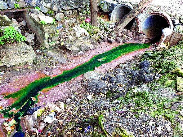 Chemical flow from the open drain of Vasai | वसईच्या उघड्या नाल्यातून केमिकलचे पाट