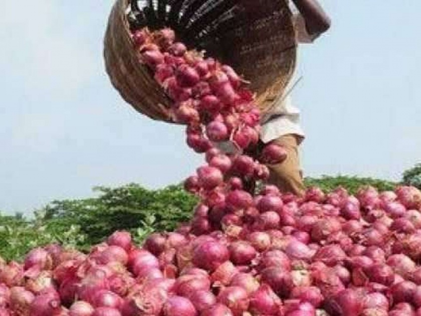 Only onions exported to Customs are allowed | केवळ कस्टम्सकडे सोपविलेल्या कांद्याच्या निर्यातीसच मुभा