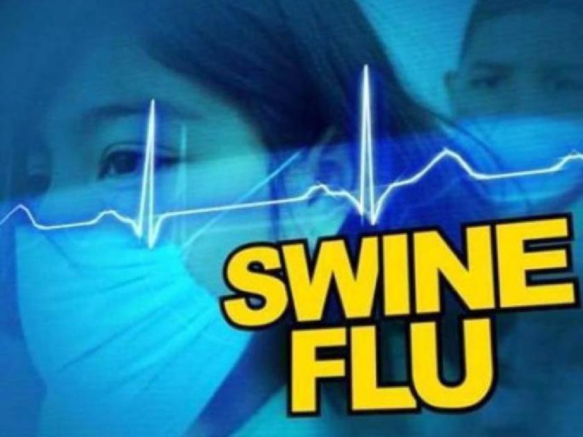 30 Deaths and 587 affected Due Swine Flu Disease in Nagpur, Death Analysis Committee Report | नागपुरात ‘स्वाइन फ्लू’मुळे ३० जणांचा मृत्यू; बाधितांचा आकडा ५८७ वर