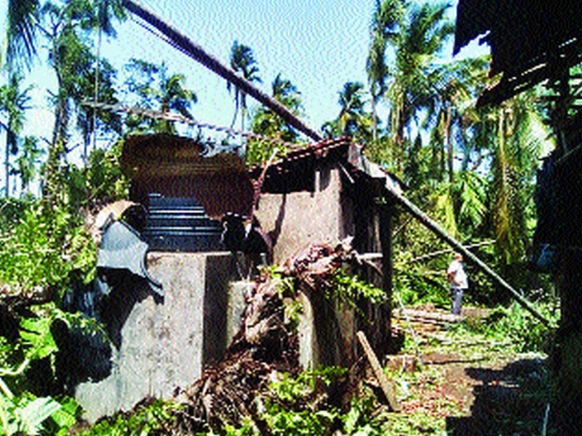 Nisarga cyclone destroys all konkan region | निसर्ग चक्रीवादळाने तळकोकण उद्ध्वस्त