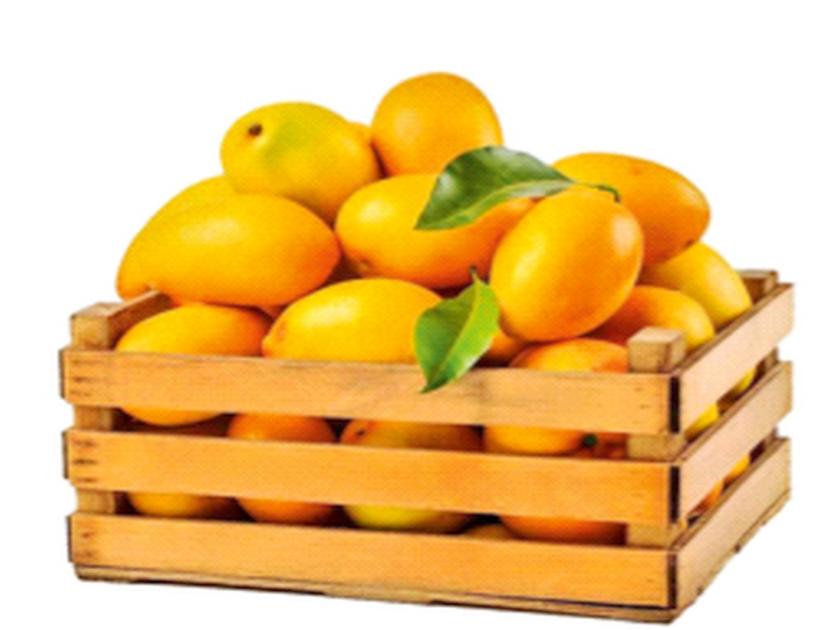 Maharashtra alone accounts for 60 percent of mango exports | आंबा निर्यातीमध्ये एकट्या महाराष्ट्राचा वाटा ६० टक्के