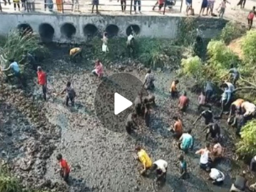 Video: Fish truck overturns in Solapur; people gather to catch fish in the pond | Video: सोलापूरमध्ये मासे नेणारा ट्रक पलटी; तलावात पडलेले मासे पकडण्य़ासाठी उडाली झुंबड