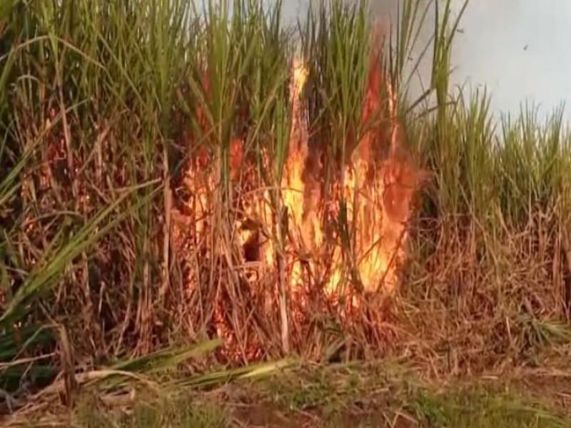 Over sixty acres of sugarcane was burnt at Ranjangaon Sandus | रांजणगाव सांडस येथे साठ एकराच्या वर ऊस जळून खाक