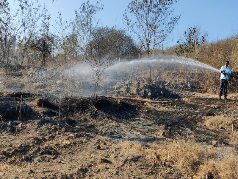 Wildfires began to flare up at the beginning of summer Loss of forest area in Sinhagad Katraj Ghat | उन्हाळ्याच्या सुरुवातीलाच भडकू लागले वणवे! सिंहगड, कात्रज घाटात वनक्षेत्राचे नुकसान