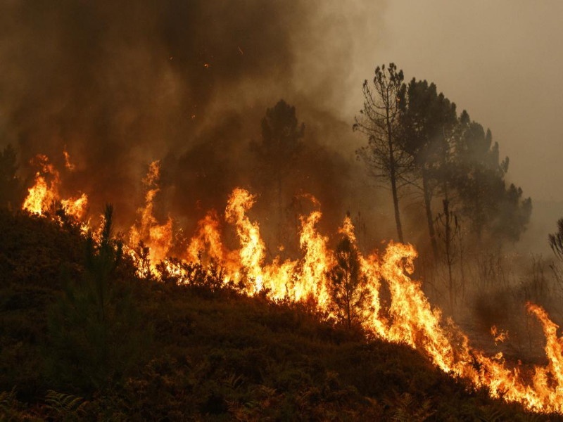 Five accused arrested for setting fire to Otur forest area | ओतूर वनक्षेत्रात आग लावण्या-या पाच आरोपींना अटक ;२ झाडे हजार झाली होती भस्मसात